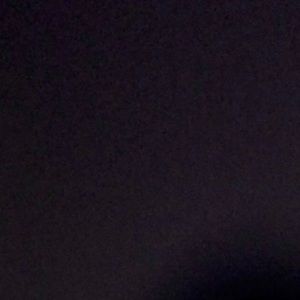 Meet your Posher, Bailey